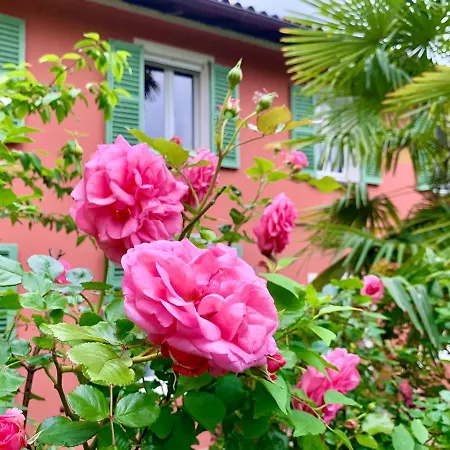 Il Giardino Segreto Arona, Charming Lägenhet *