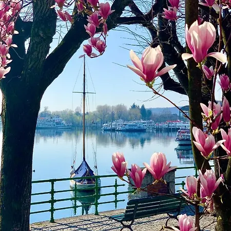 Il Giardino Segreto Arona, Charming דירה ארונה