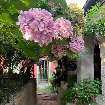 Apartamento Il Giardino Segreto Arona, Charming Arona