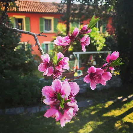 Il Giardino Segreto Arona, Charming * Arona