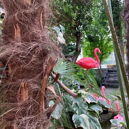 Il Giardino Segreto Arona, Charming ארונה