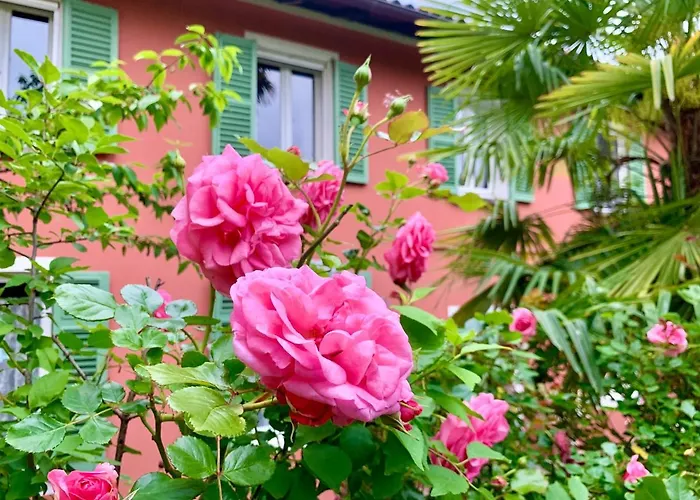 Il Giardino Segreto Arona, Charming Apartamento *