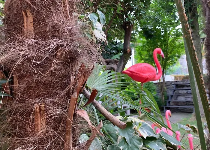 Il Giardino Segreto Arona, Charming أرونا